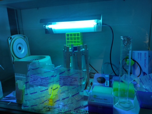 Highly sterile laboratory bench used for the extraction of DNA from old museum specimens in Giessen, Germany. Photo credit: Arthur Sands